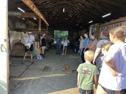 Feel Fridays at Horses and Hope, Fridays of camp weeks, photo 2
