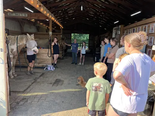 Feel Fridays at Horses and Hope, Fridays of camp weeks, photo 3