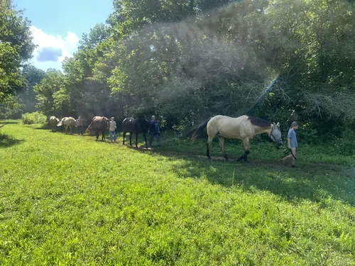 Feel Fridays at Horses and Hope, Fridays of camp weeks, photo 4
