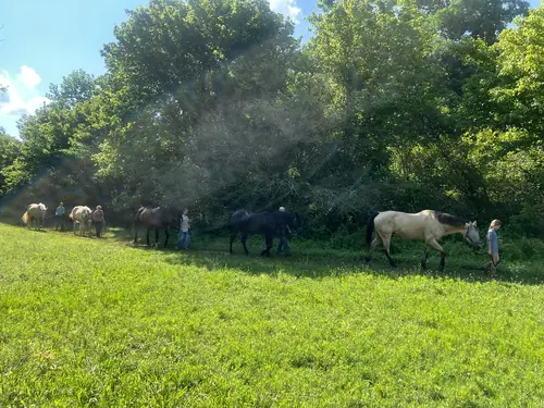 Feel Fridays at Horses and Hope, Fridays of camp weeks, photo 5