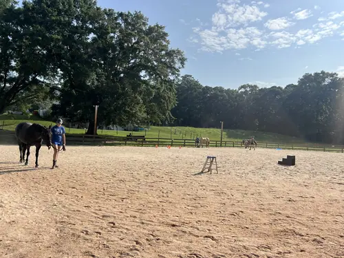 Feel Fridays at Horses and Hope, Fridays of camp weeks, photo 9