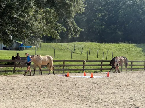 Feel Fridays at Horses and Hope, Fridays of camp weeks, photo 11
