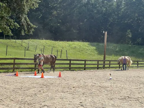 Feel Fridays at Horses and Hope, Fridays of camp weeks, photo 12