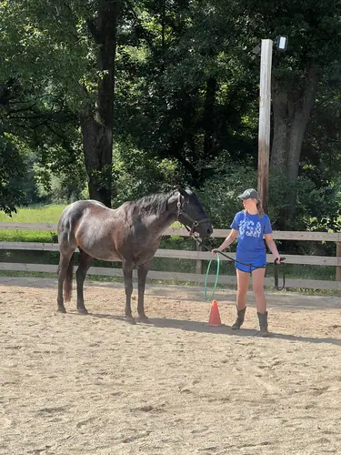 Feel Fridays at Horses and Hope, Fridays of camp weeks, photo 13