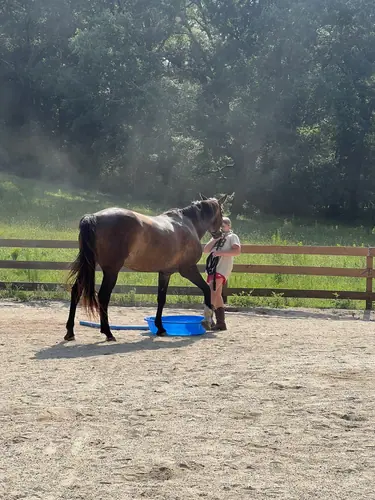 Feel Fridays at Horses and Hope, Fridays of camp weeks, photo 15