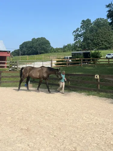 Feel Fridays at Horses and Hope, Fridays of camp weeks, photo 16