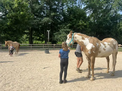 Feel Fridays at Horses and Hope, Fridays of camp weeks, photo 17