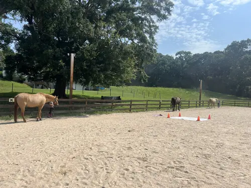 Feel Fridays at Horses and Hope, Fridays of camp weeks, photo 18