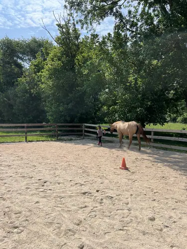 Feel Fridays at Horses and Hope, Fridays of camp weeks, photo 19