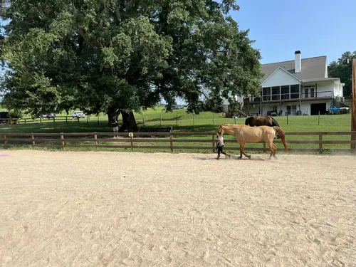 Feel Fridays at Horses and Hope, Fridays of camp weeks, photo 20