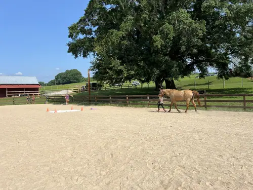 Feel Fridays at Horses and Hope, Fridays of camp weeks, photo 21