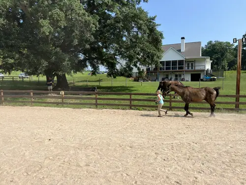 Feel Fridays at Horses and Hope, Fridays of camp weeks, photo 22