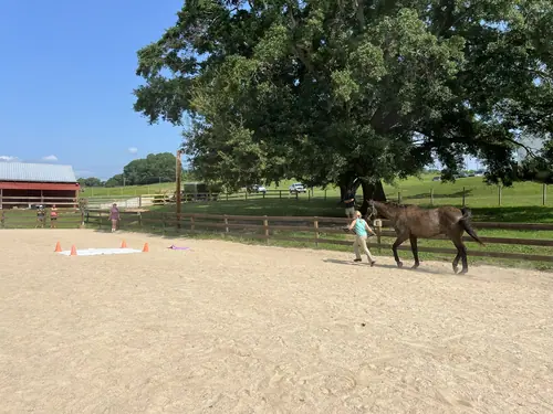 Feel Fridays at Horses and Hope, Fridays of camp weeks, photo 23