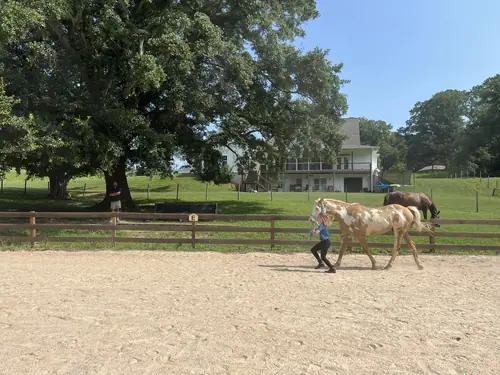 Feel Fridays at Horses and Hope, Fridays of camp weeks, photo 24