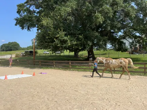 Feel Fridays at Horses and Hope, Fridays of camp weeks, photo 25