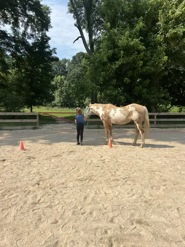 Feel Fridays at Horses and Hope, Fridays of camp weeks, photo 26