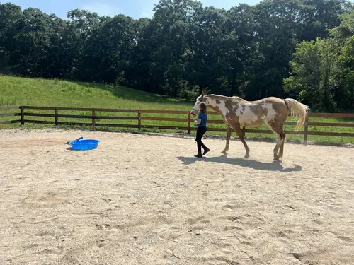 Feel Fridays at Horses and Hope, Fridays of camp weeks, photo 28
