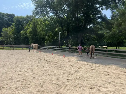 Feel Fridays at Horses and Hope, Fridays of camp weeks, photo 29
