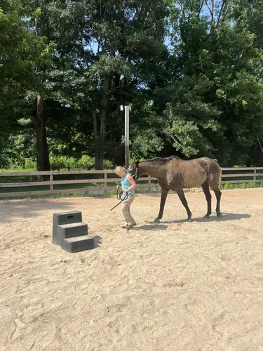Feel Fridays at Horses and Hope, Fridays of camp weeks, photo 30