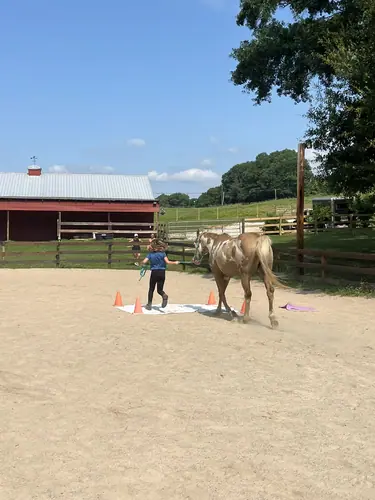 Feel Fridays at Horses and Hope, Fridays of camp weeks, photo 33