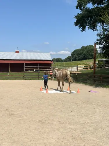 Feel Fridays at Horses and Hope, Fridays of camp weeks, photo 34
