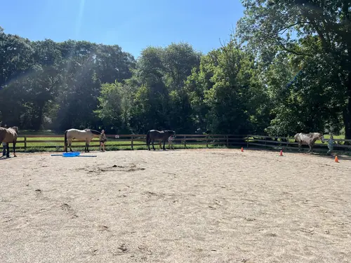 Feel Fridays at Horses and Hope, Fridays of camp weeks, photo 35