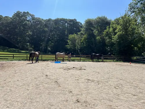 Feel Fridays at Horses and Hope, Fridays of camp weeks, photo 36