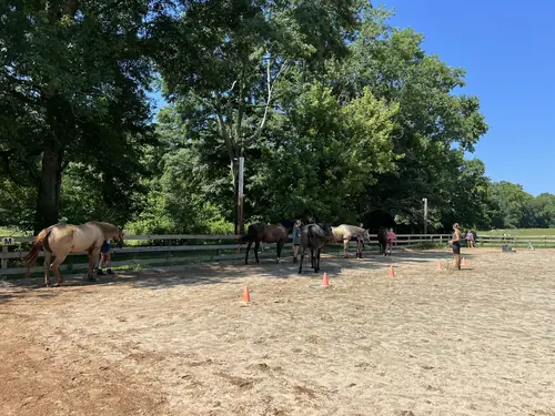Feel Fridays at Horses and Hope, Fridays of camp weeks, photo 38