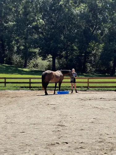 Feel Fridays at Horses and Hope, Fridays of camp weeks, photo 42