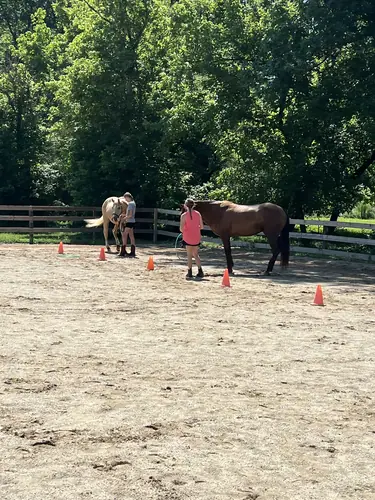 Feel Fridays at Horses and Hope, Fridays of camp weeks, photo 43