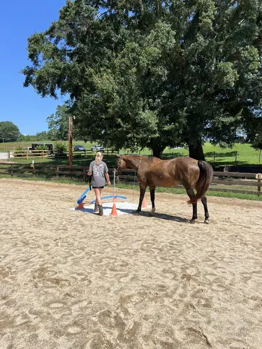 Feel Fridays at Horses and Hope, Fridays of camp weeks, photo 44