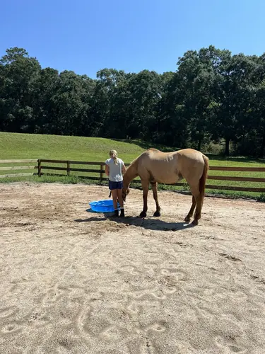Feel Fridays at Horses and Hope, Fridays of camp weeks, photo 46