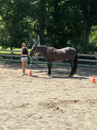 Feel Fridays at Horses and Hope, Fridays of camp weeks, photo 47