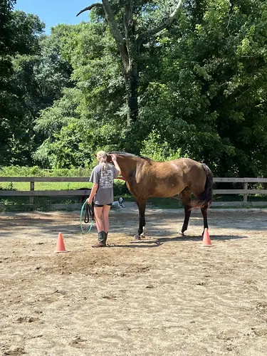 Feel Fridays at Horses and Hope, Fridays of camp weeks, photo 48