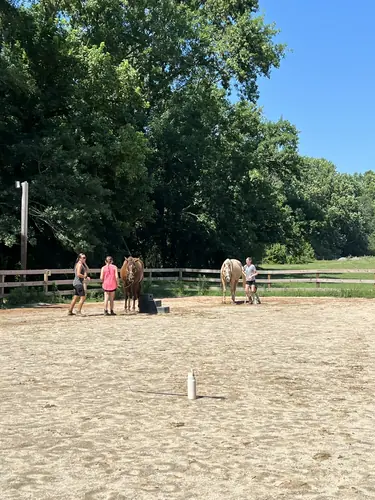 Feel Fridays at Horses and Hope, Fridays of camp weeks, photo 49