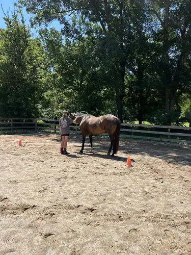 Feel Fridays at Horses and Hope, Fridays of camp weeks, photo 50