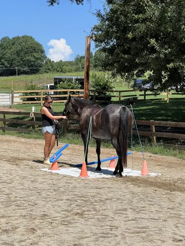 Feel Fridays at Horses and Hope, Fridays of camp weeks, photo 51