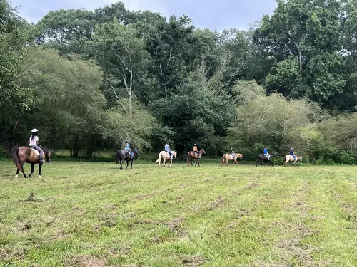 Intermediate to Advanced Camp at Horses and Hope, July 13 to 15, photo 11