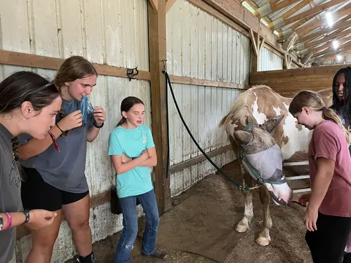 Intermediate to Advanced Camp at Horses and Hope, July 13 to 15, photo 14