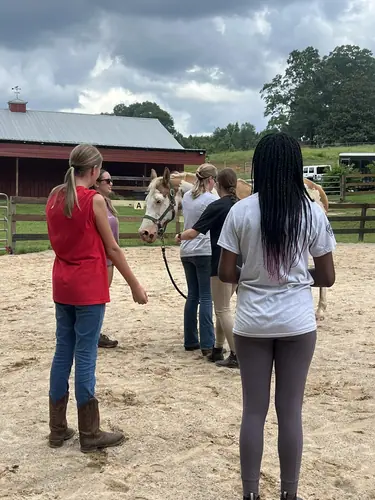 Intermediate to Advanced Camp at Horses and Hope, July 13 to 15, photo 22