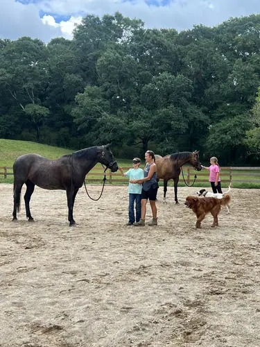Intermediate to Advanced Camp at Horses and Hope, July 13 to 15, photo 23
