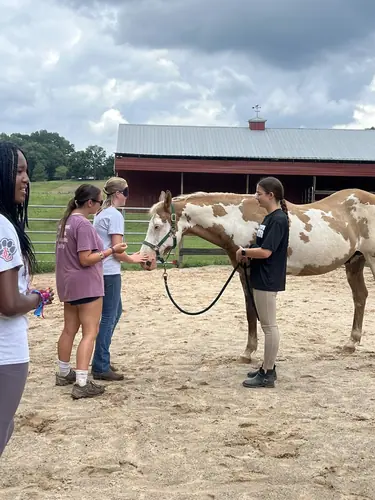 Intermediate to Advanced Camp at Horses and Hope, July 13 to 15, photo 24