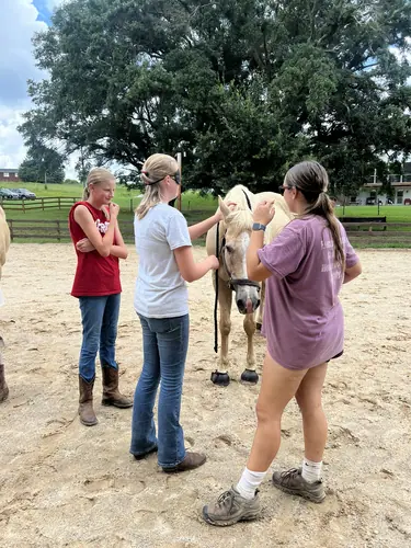 Intermediate to Advanced Camp at Horses and Hope, July 13 to 15, photo 25