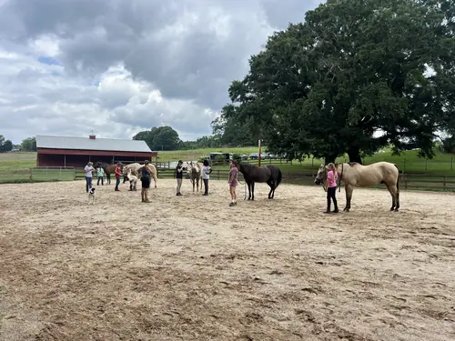 Intermediate to Advanced Camp at Horses and Hope, July 13 to 15, photo 27