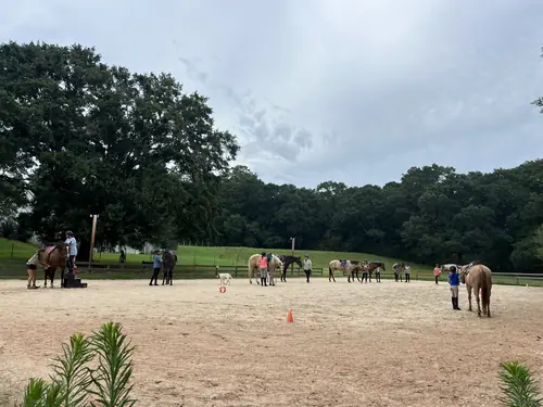 Devotion Camp at Horses and Hope, July 23, photo 3