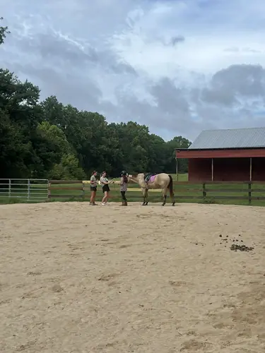 Devotion Camp at Horses and Hope, July 23, photo 5