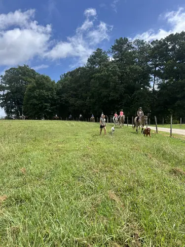 Devotion Camp at Horses and Hope, July 23, photo 13