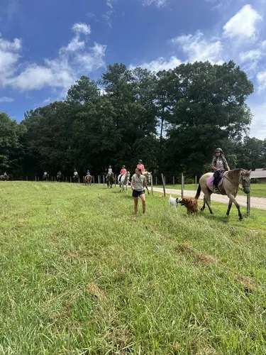 Devotion Camp at Horses and Hope, July 23, photo 15