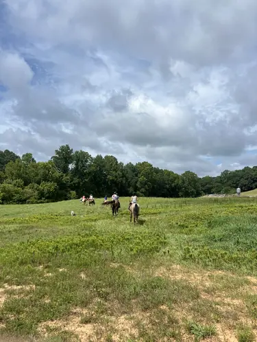 Devotion Camp at Horses and Hope, July 23, photo 18