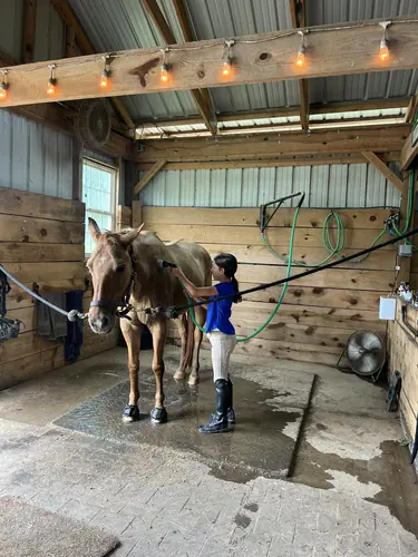 Devotion Camp at Horses and Hope, July 23, photo 22